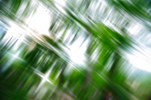 MG20110430_7977v01